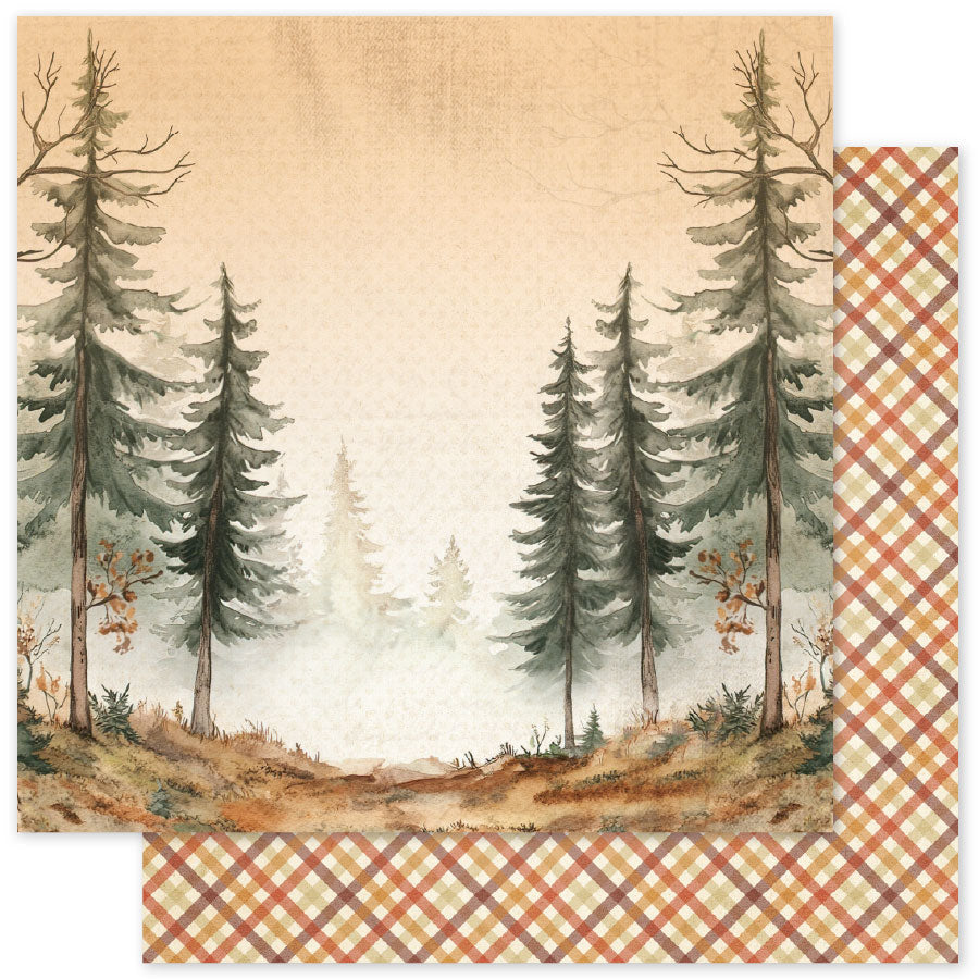 Halloween Hollow Basics A 12x12 Paper (12pc Bulk Pack) 35394 - Paper Rose Studio