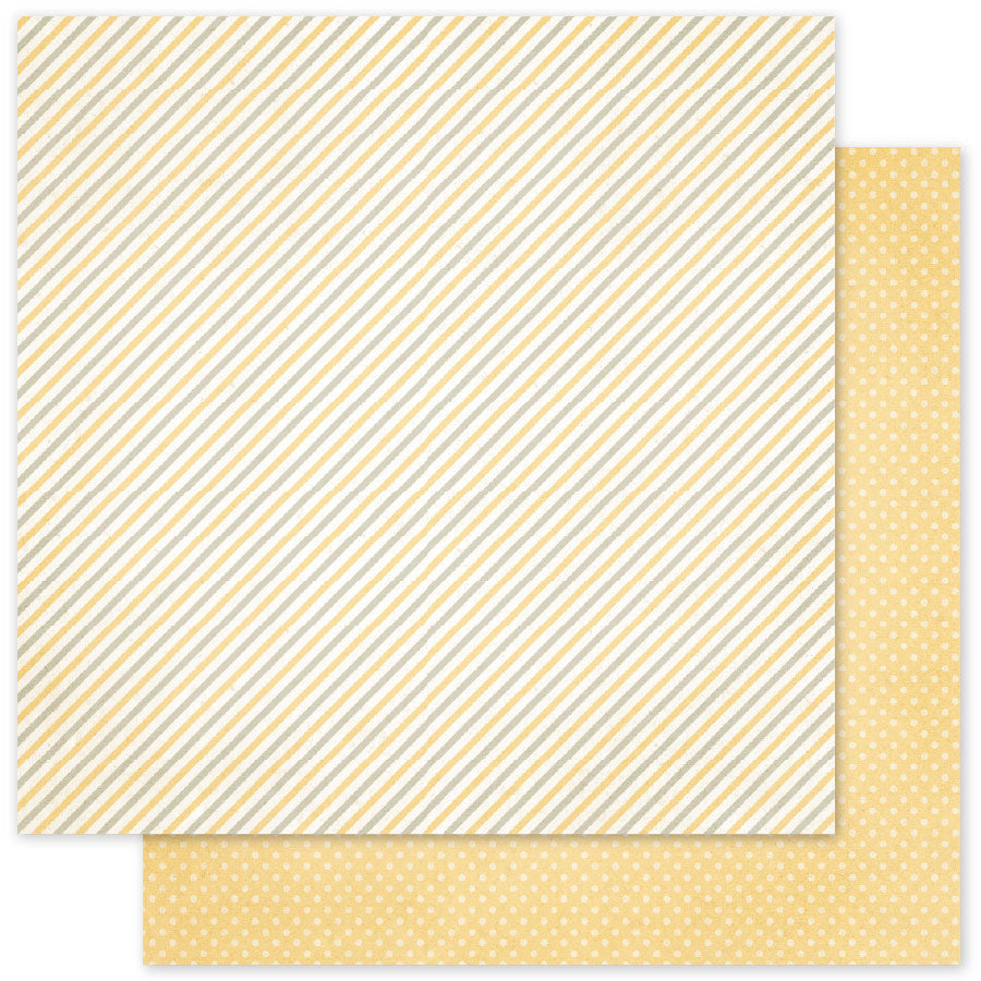 Halloween Hollow Basics C 12x12 Paper (12pc Bulk Pack) 35400 - Paper Rose Studio