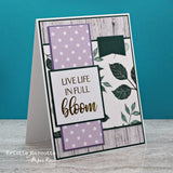 Dear Emma 6x6 Paper Collection 25399 - Paper Rose Studio