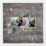 Nature Stroll Sentiments & Titles Die Cuts 27901 - Paper Rose Studio