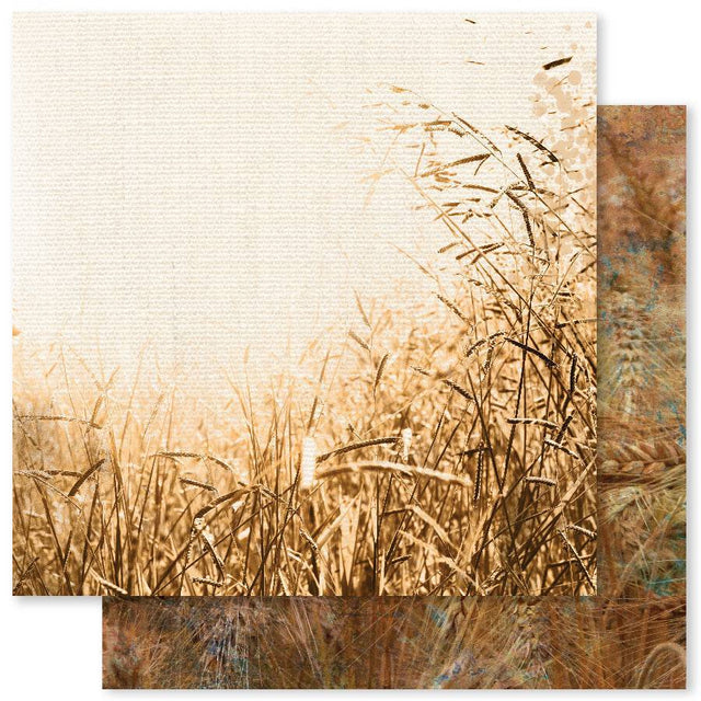 Grunge Landscapes 1.0 C 12x12 Paper (12pc Bulk Pack) 23560 - Paper Rose Studio