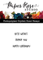 Scribbled Wishes Stamp Set 25831 - Paper Rose Studio