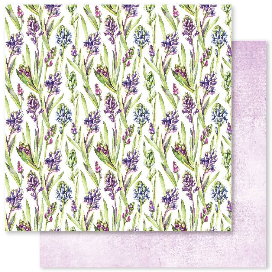 Violet Garden A 12x12 Paper (12pc Bulk Pack) 28366 - Paper Rose Studio