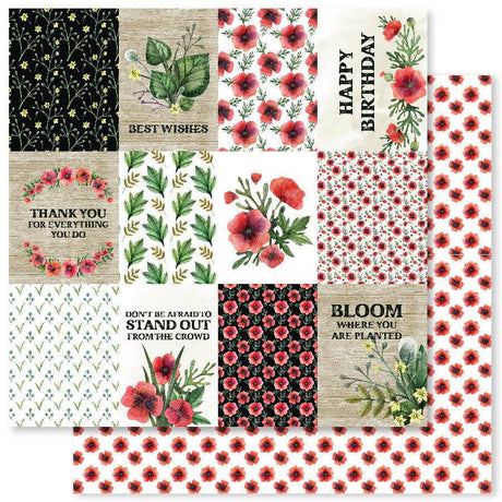 Wild Poppies F 12x12 Paper (12pc Bulk Pack) 22135 - Paper Rose Studio